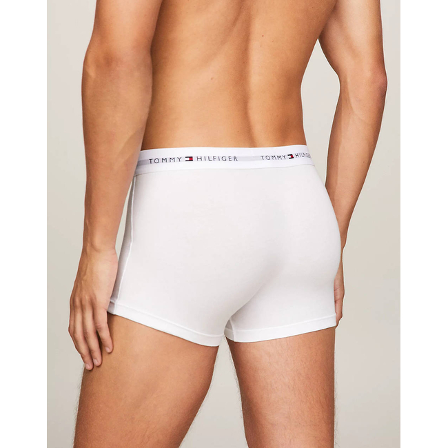 Product TOMMY HILFIGER 3P TRUNK base image
