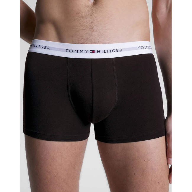 Product TOMMY HILFIGER 3P WB TRUNK base image