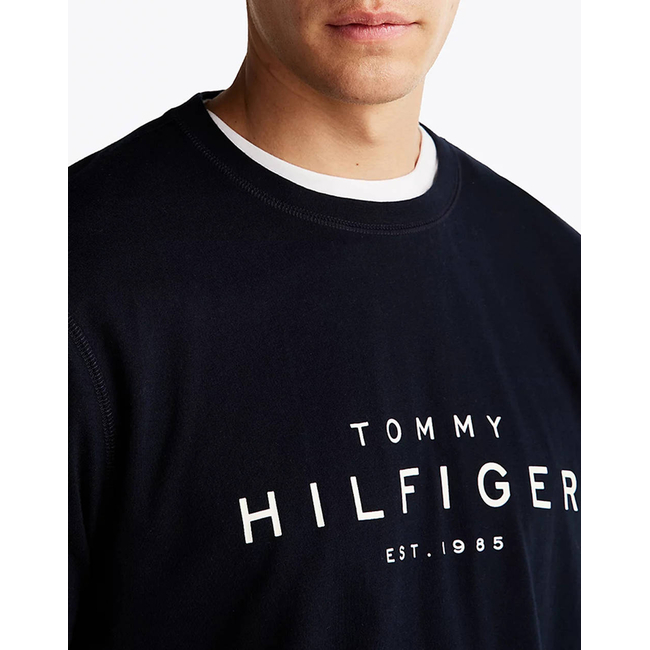 Product TOMMY HILFIGER BIG RWB HILFIGER TEE base image