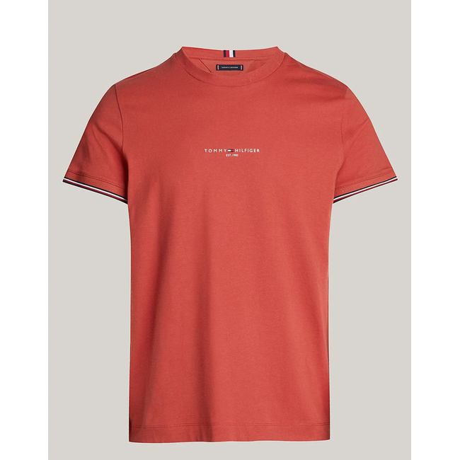 Product TOMMY HILFIGER TOMMY LOGO TIPPED TEE base image
