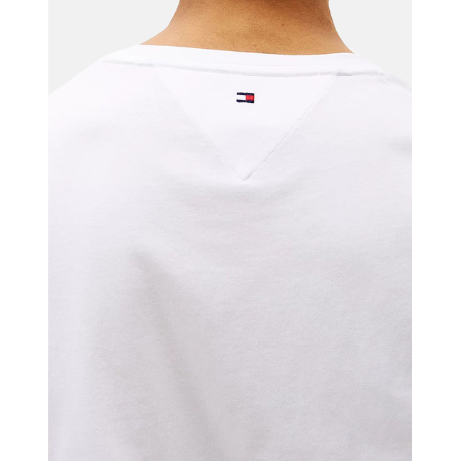Product TOMMY HILFIGER TOMMY LOGO TIPPED TEE base image