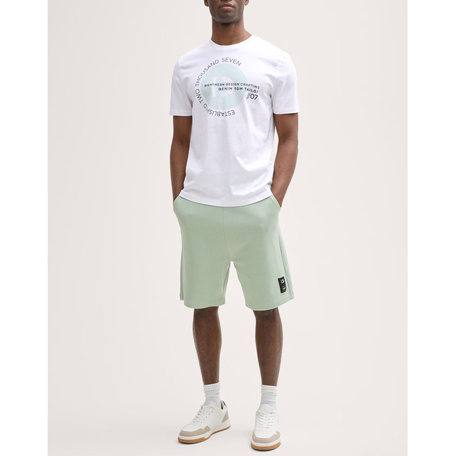 Product TOM TAILOR PRINTED T-SHIRT MEN base image