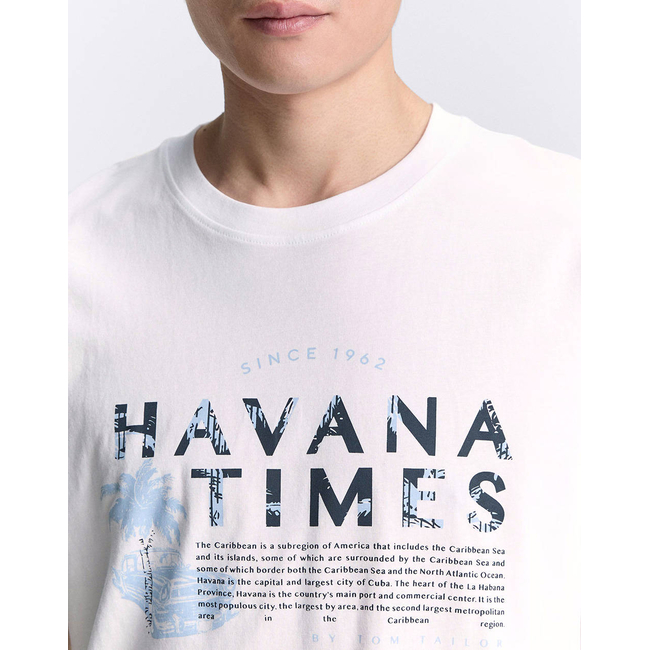 Product TOM TAILOR PRINTED T-SHIRT ΜΠΛΟΥΖΑ ΑΝΔΡΙΚΟ base image