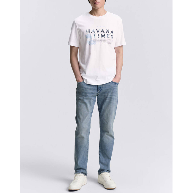 Product TOM TAILOR PRINTED T-SHIRT ΜΠΛΟΥΖΑ ΑΝΔΡΙΚΟ base image