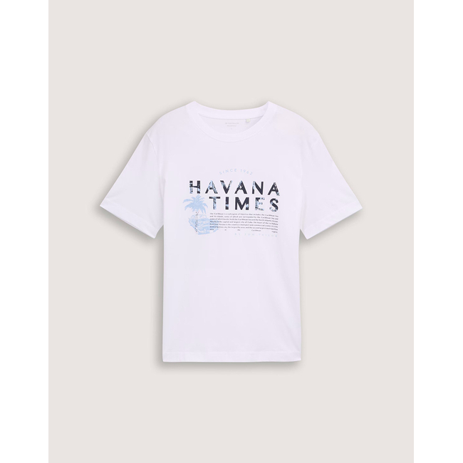 Product TOM TAILOR PRINTED T-SHIRT ΜΠΛΟΥΖΑ ΑΝΔΡΙΚΟ base image