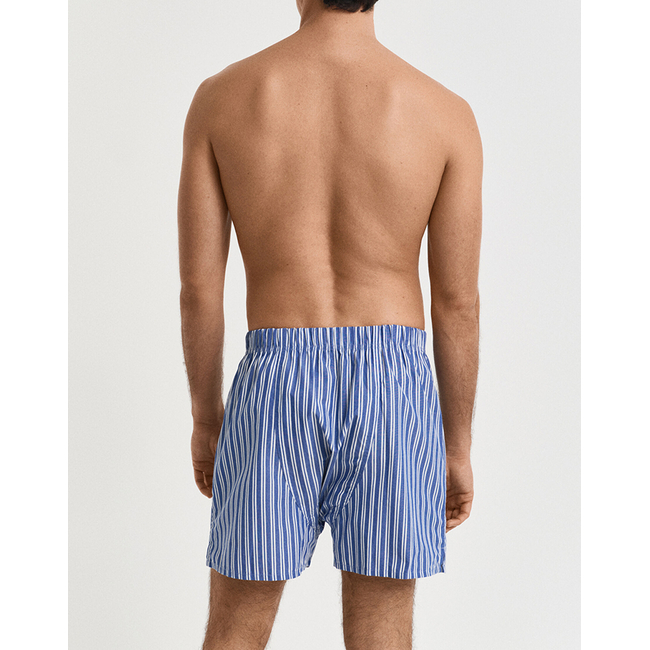 Product GANT ΣΕΤ 2 ΕΣΩΡΟΥΧΩΝ TRUNKBOXER SHORTS 2-PACK base image