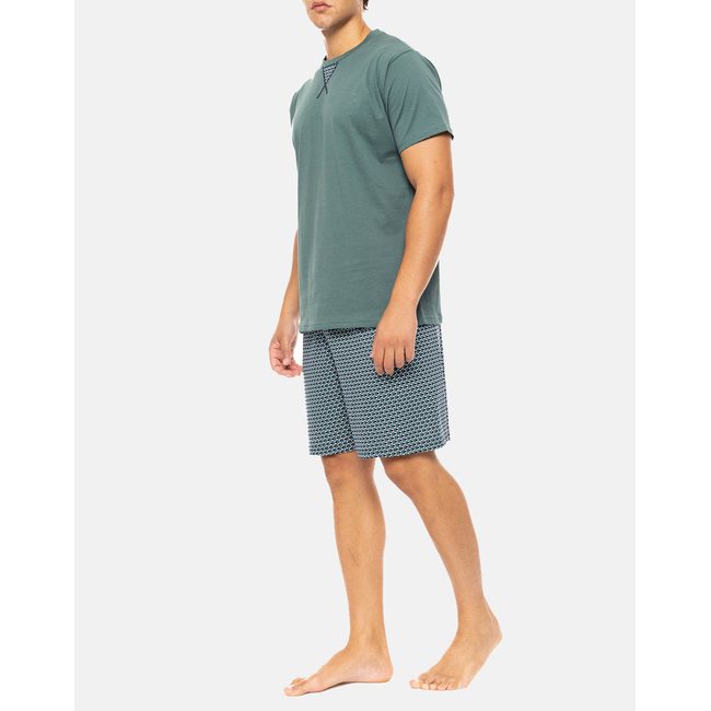 Product PINK LABEL PYJAMA GREEN NIGHTS base image