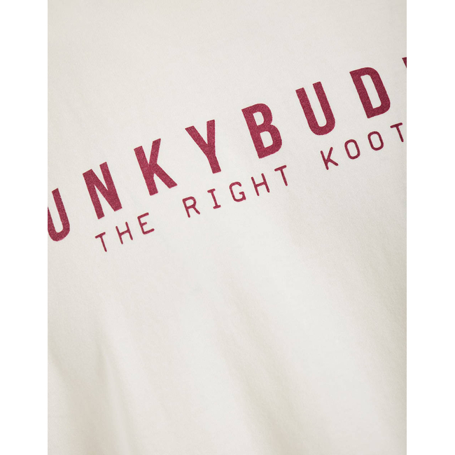 Product FUNKY BUDDHA Ανδρική Μπλούζα Κοντό Μανίκι Με Τύπωμα base image