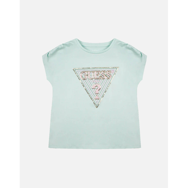 Product GUESS  BATWING SS T-SHIRT - MID ORGANIC CO STR JERSEY 160 ΜΠΛΟΥΖΑ G base image