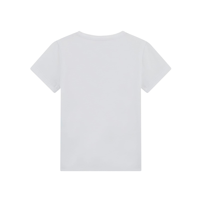 Product GUESS SS T-SHIRT - MID ORGANIC CO STR JERSEY 160 G base image