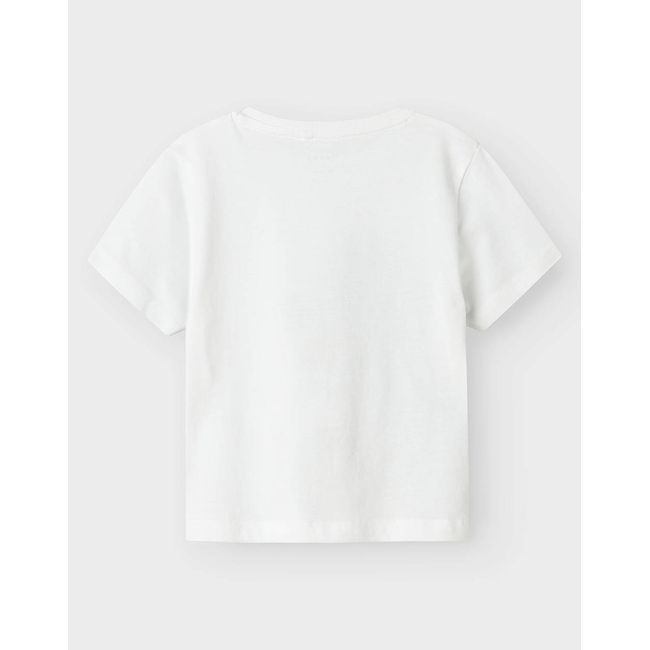 Product NAME IT NMMVILASSE SS NREG TOP base image