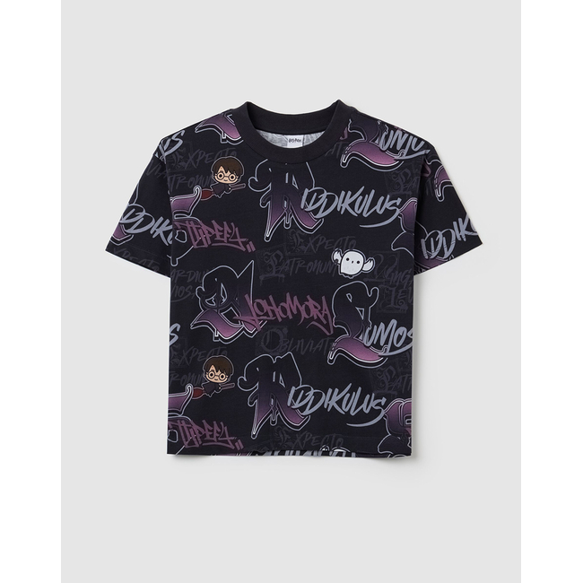 Product OVS T-SHIRT HP OVER base image