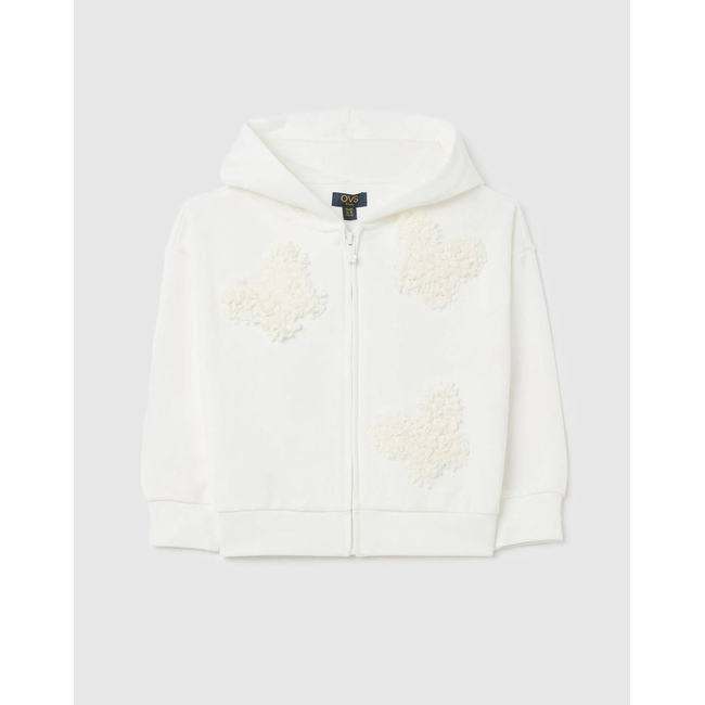 Product OVS HODDIE FULLZIP base image
