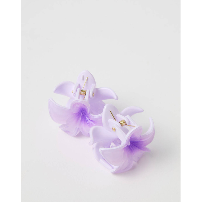Product OVS SET 2 SMALL HIBISCUS CLIP base image