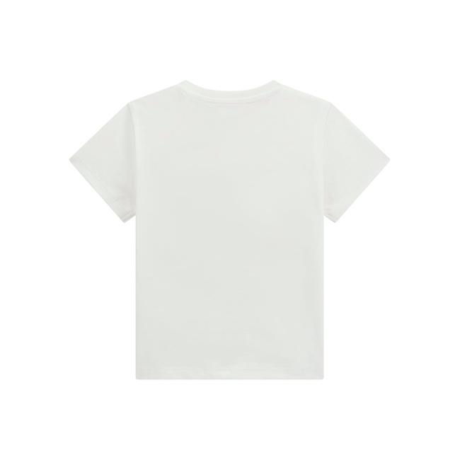 Product GUESS SS T-SHIRT - MID ORGANIC COTTON 160  SHIRT B base image