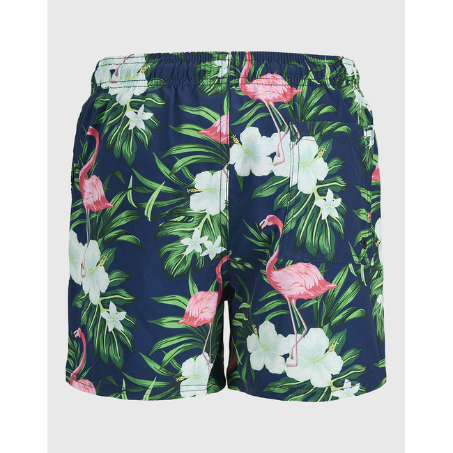 Product JACK&JONES JPSTMAUI JJSWIM NOVELTY AOP AKM SN JNR base image