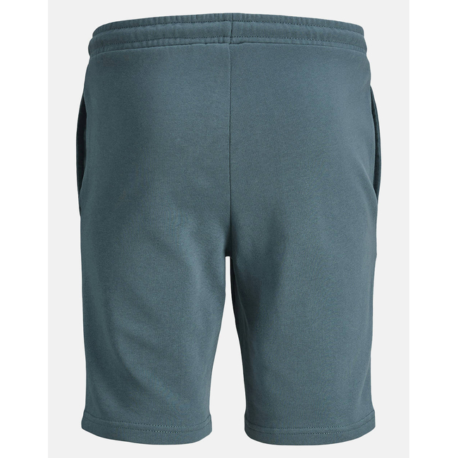 Product JACK&JONES JPSTSWIFT SWEAT SHORTS AUT SN JNR base image