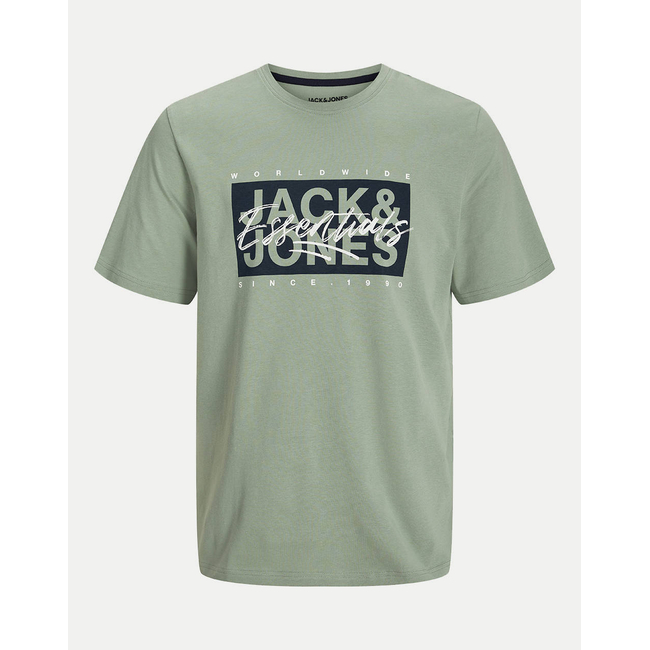 Product JACK&JONES JJCOLTON TEE SS CREW NECK JNR base image
