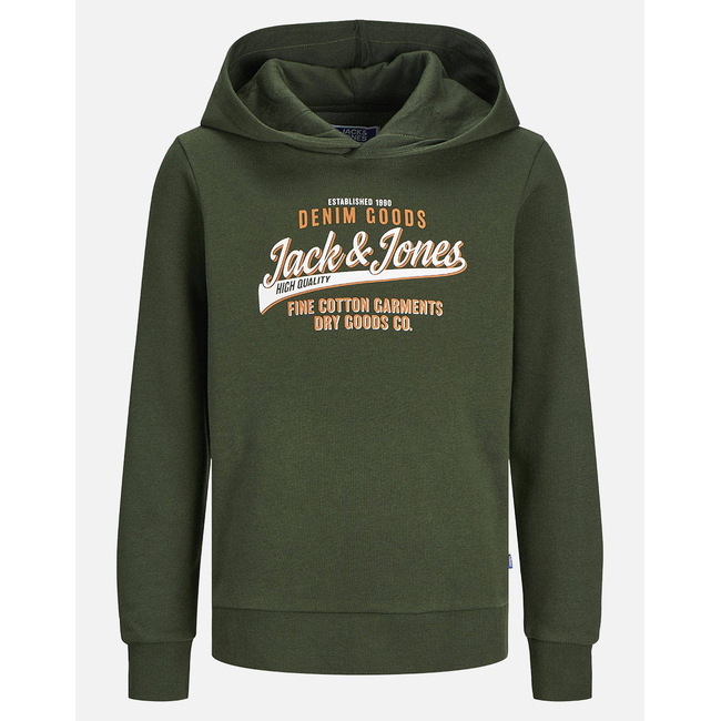 Product JACK&JONES JJELOGO SWEAT HOOD 2 COL 24/25 NOOS JNR base image