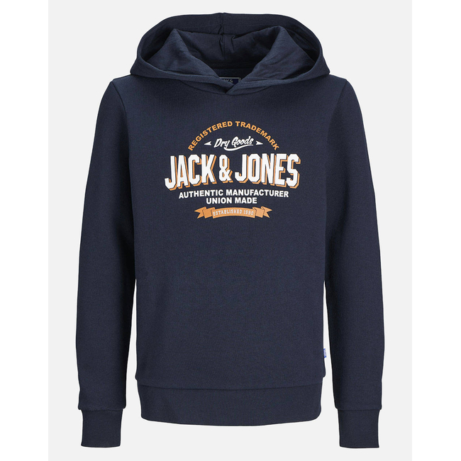 Product JACK&JONES JJELOGO SWEAT HOOD 2 COL 24/25 NOOS JNR base image
