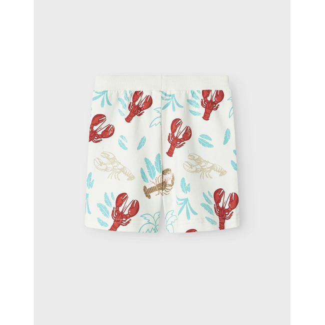 Product NAME IT NMMFIN NREG SHORTS UNB base image