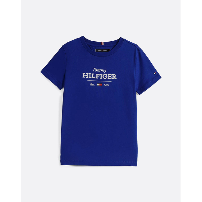 Product TOMMY HILFIGER MONOTYPE 1985 REG TEE SS base image