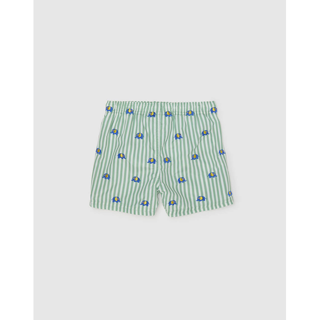 Product OVS SWIM SHORT base image