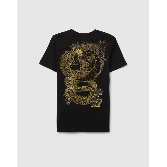 Product OVS T-SHIRT DRAGONBALL base image