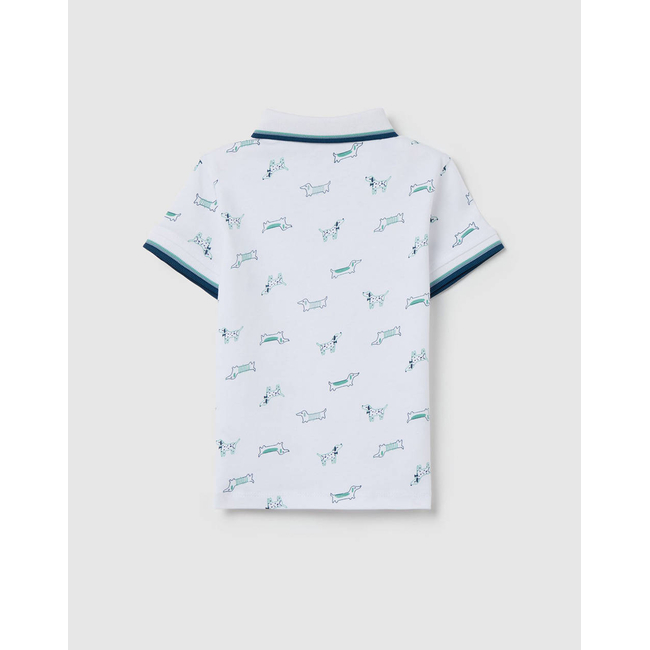 Product OVS POLO AOP base image