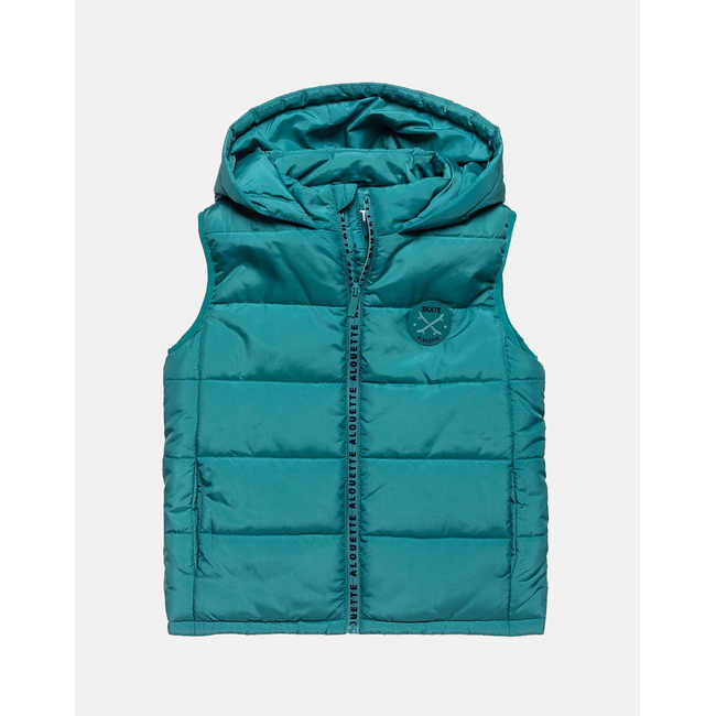 Product ALOUETTE VEST JACKET base image