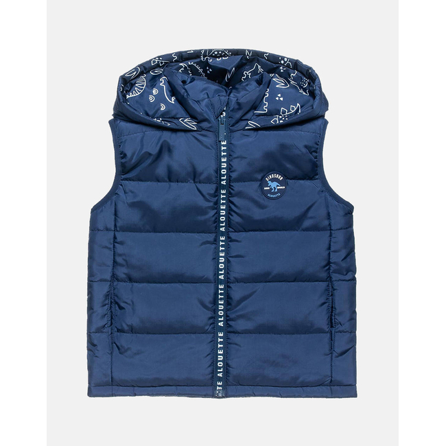 Product ALOUETTE VEST JACKET base image