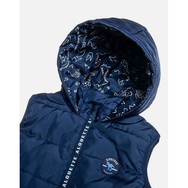 Product ALOUETTE VEST JACKET base image
