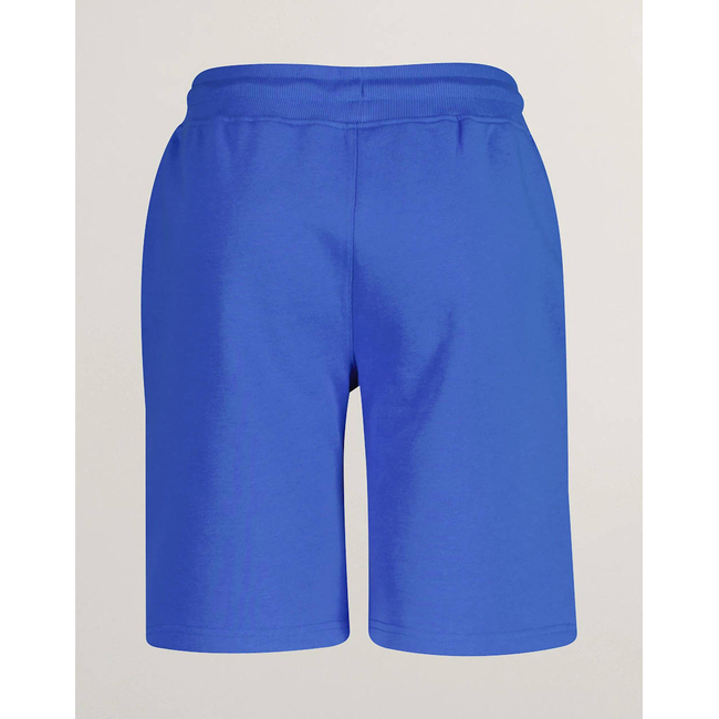 Product GANT SHORTS base image