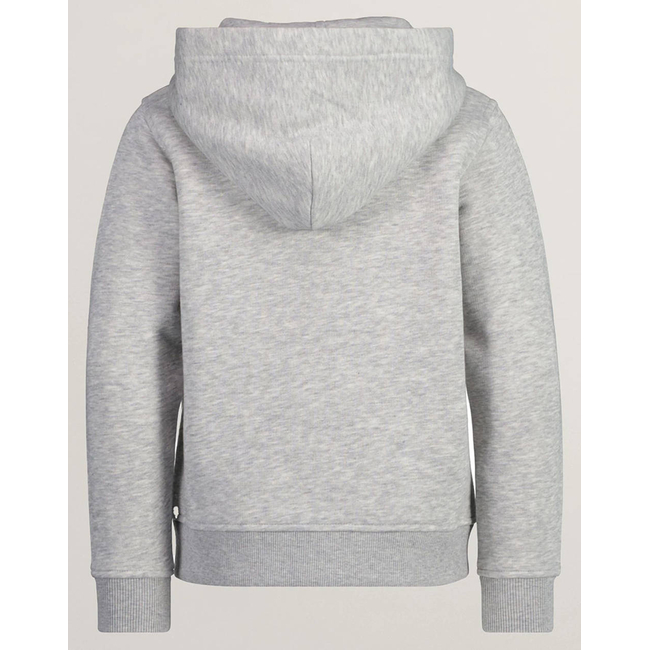 Product GANT ΖΑΚΕΤΑ ΦΟΥΤΕΡ SHIELD ZIP HOODIE base image