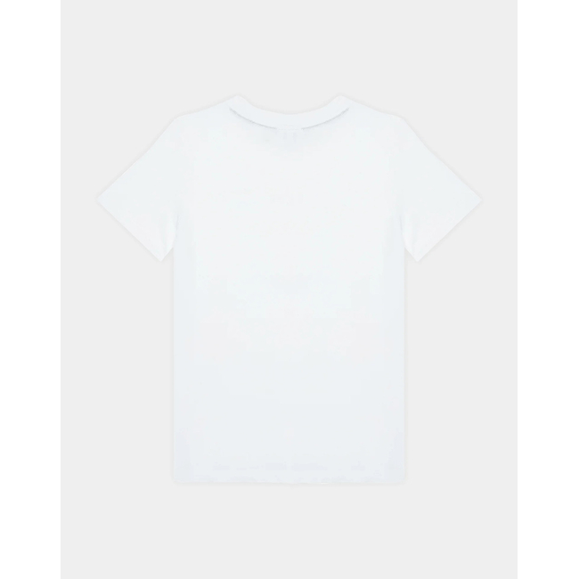 Product LACOSTE T-SHIRT SS base image
