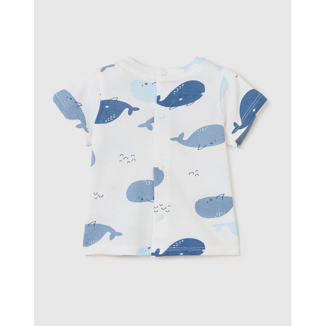 Product OVS T-SHIRT AOP base image