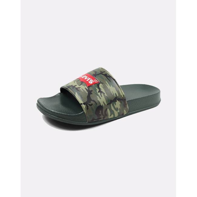 Product LEVIS POOL S base image