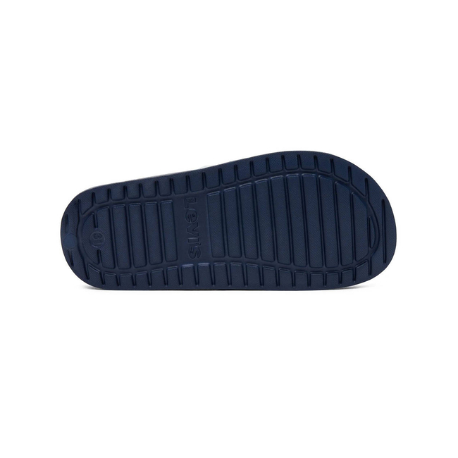 Product LEVIS POOL S base image