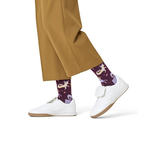 Product HAPPY SOCKS Capricorn Sock base image