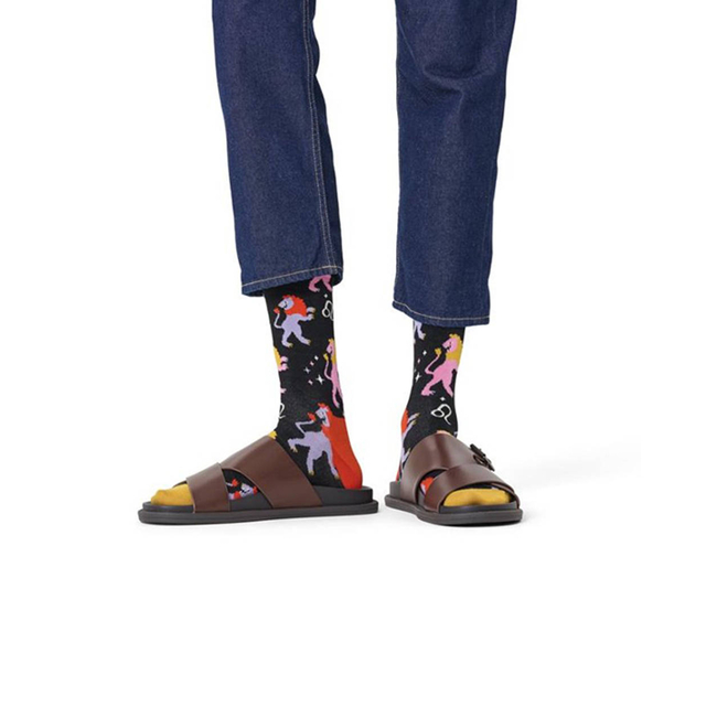 Product HAPPY SOCKS Leo Sock base image