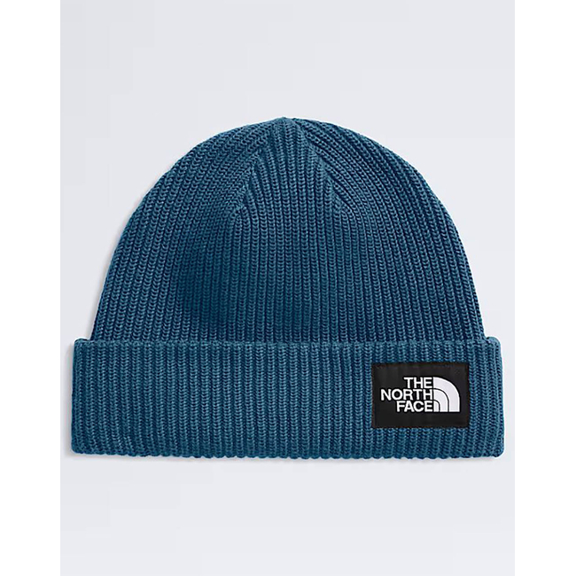 Product THE NORTH FACE SALTY LINED BEANIE base image