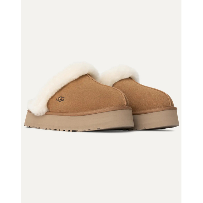 Product UGG Disquette base image