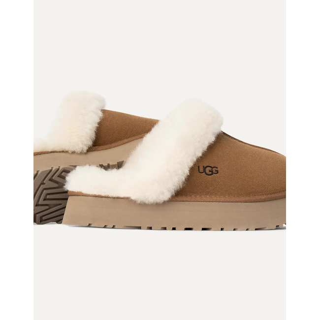 Product UGG Disquette base image