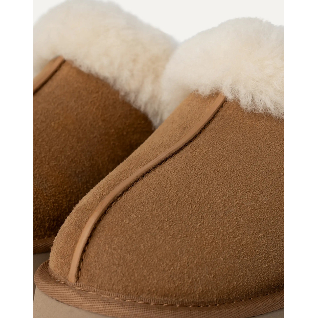 Product UGG Disquette base image