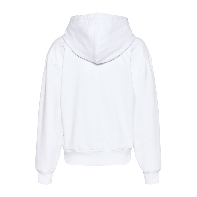 Product CALVIN KLEIN LS ARCHIVE TERRY PO HOOD base image
