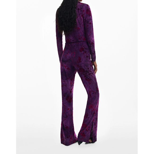 Product DESIGUAL PANT_ALINA ΠΑΝΤΕΛΟΝΙ ΓΥΝΑΙΚΕΙΟ base image