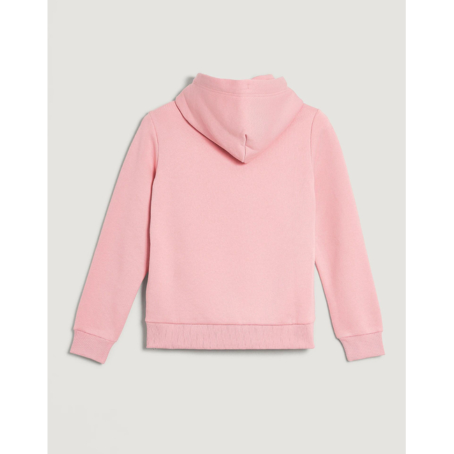 Product GANT ΦΟΥΤΕΡ ΜΜ REG TONAL SHIELD HOODIE base image