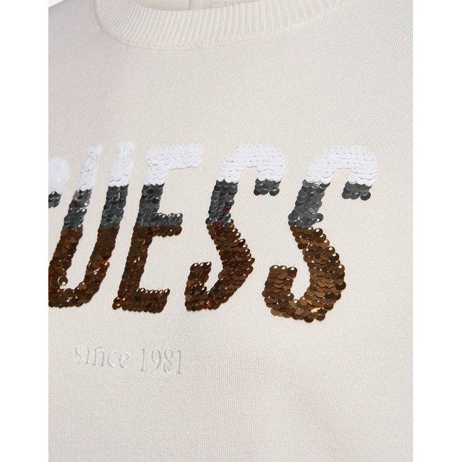 Product GUESS SS CN LAYLA BOXY LOGO SWTR ΠΛΕΚΤΟ ΓΥΝΑΙΚΕΙΟ base image