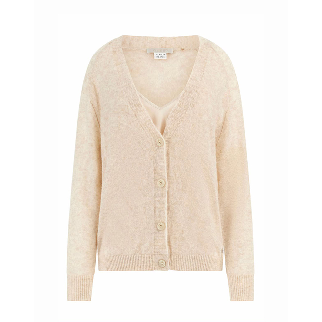 Product GUESS LS VN IZABELLA CARDI SWTR KNIT WOMEN base image