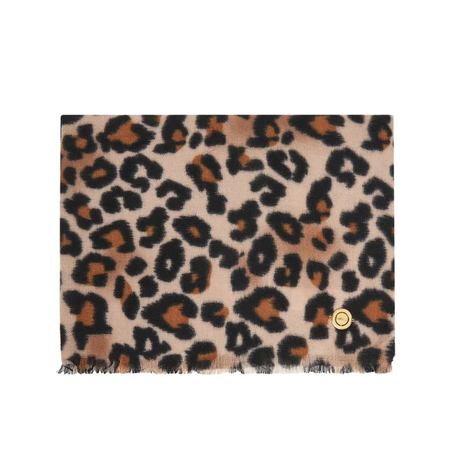 Product GUESS  DOMITILLA SCARF 80X180 ΚΑΣΚΟΛ ΓΥΝΑΙΚΕΙΟ base image